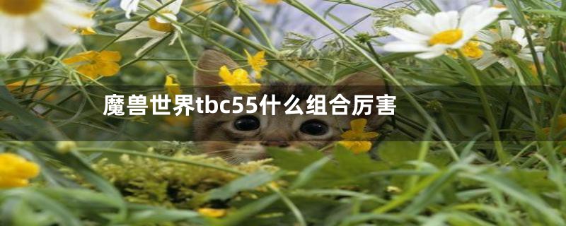 魔兽世界tbc55什么组合厉害