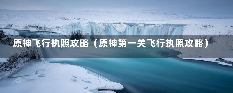 原神飞行执照攻略（原神第一关飞行执照攻略）