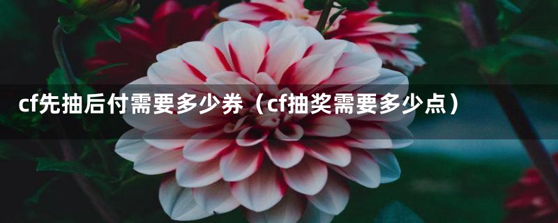 cf先抽后付需要多少券（cf抽奖需要多少点）