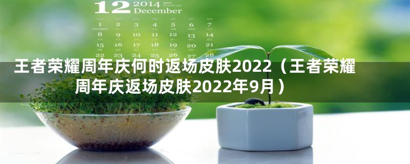 王者荣耀周年庆何时返场皮肤2022（王者荣耀周年庆返场皮肤2022年9月）