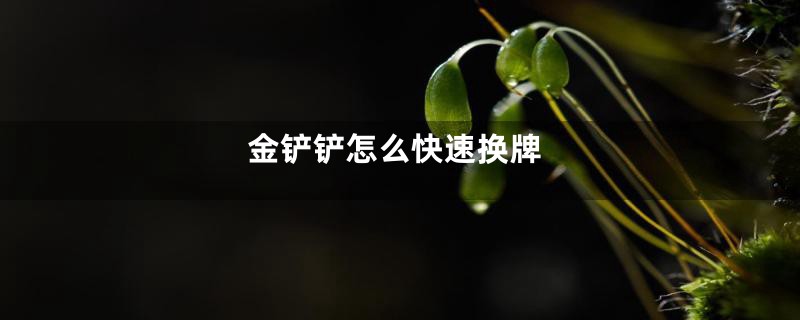 金铲铲怎么快速换牌