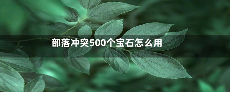 部落冲突500个宝石怎么用