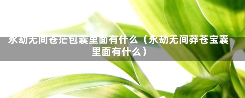 永劫无间苍茫包囊里面有什么（永劫无间莽苍宝囊里面有什么）