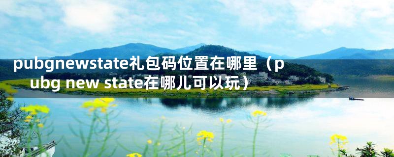 pubgnewstate礼包码位置在哪里（pubg new state在哪儿可以玩）