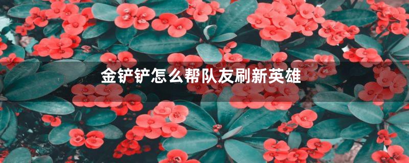 金铲铲怎么帮队友刷新英雄