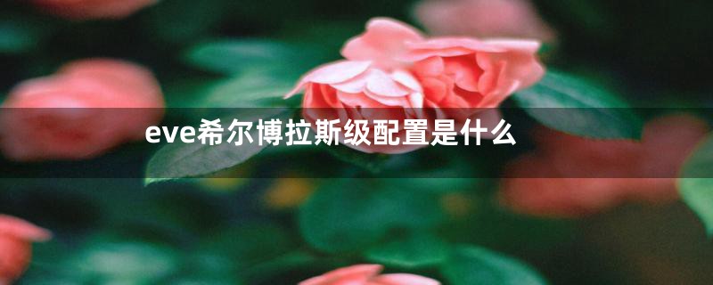 eve希尔博拉斯级配置是什么