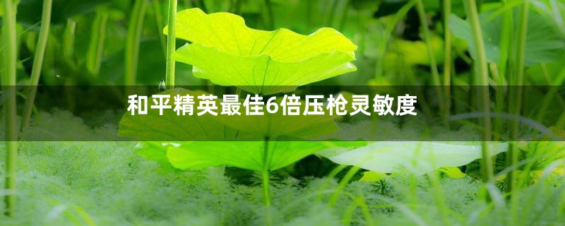 和平精英最佳6倍压枪灵敏度