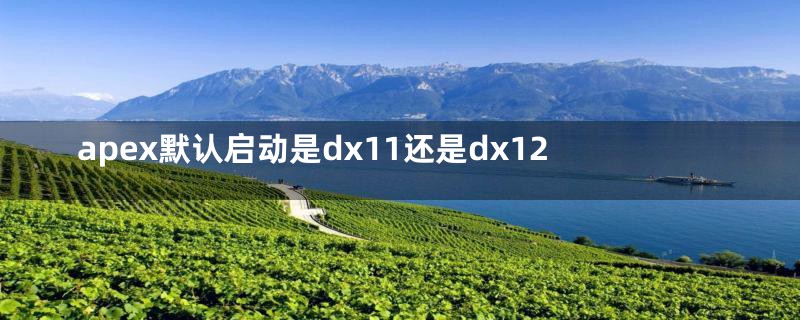 apex默认启动是dx11还是dx12