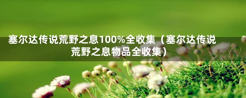 塞尔达传说荒野之息100%全收集（塞尔达传说荒野之息物品全收集）