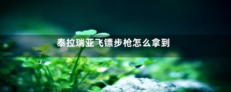 泰拉瑞亚飞镖步枪怎么拿到