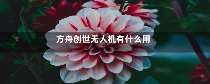 方舟创世无人机有什么用