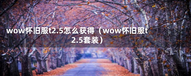 wow怀旧服t2.5怎么获得（wow怀旧服t2.5套装）