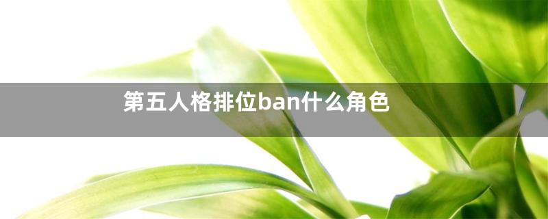 第五人格排位ban什么角色