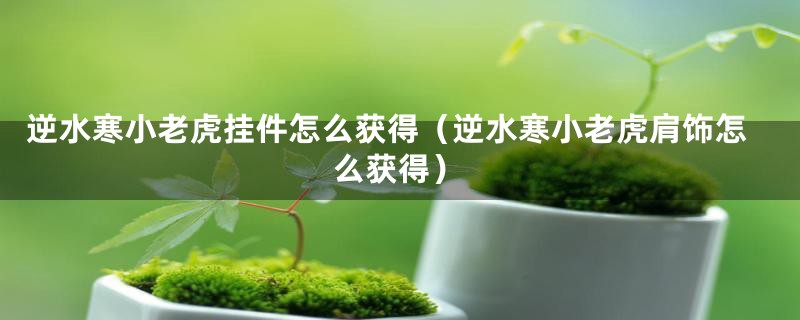 逆水寒小老虎挂件怎么获得（逆水寒小老虎肩饰怎么获得）