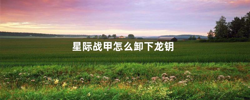 星际战甲怎么卸下龙钥