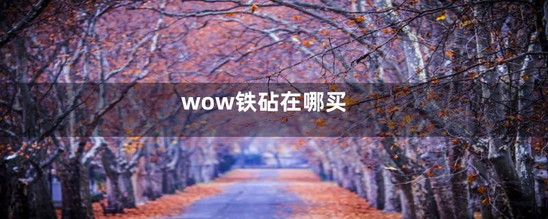 wow铁砧在哪买