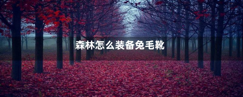 森林怎么装备兔毛靴