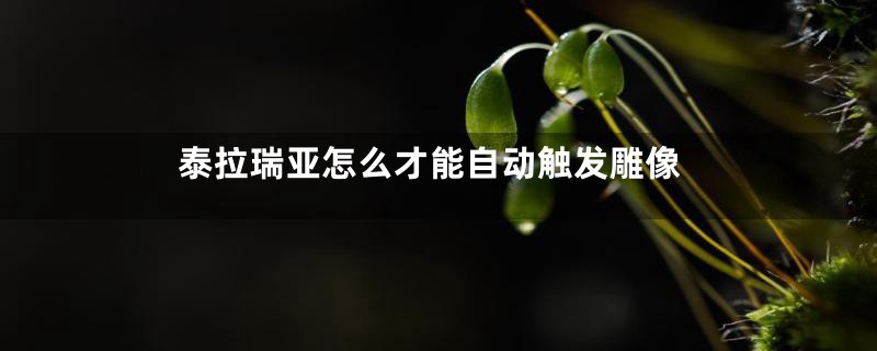 泰拉瑞亚怎么才能自动触发雕像