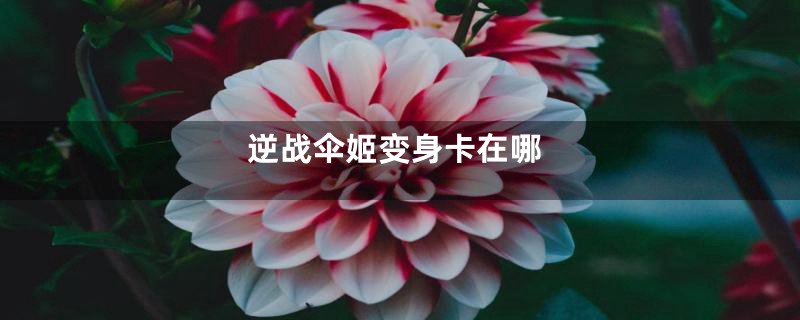 逆战伞姬变身卡在哪