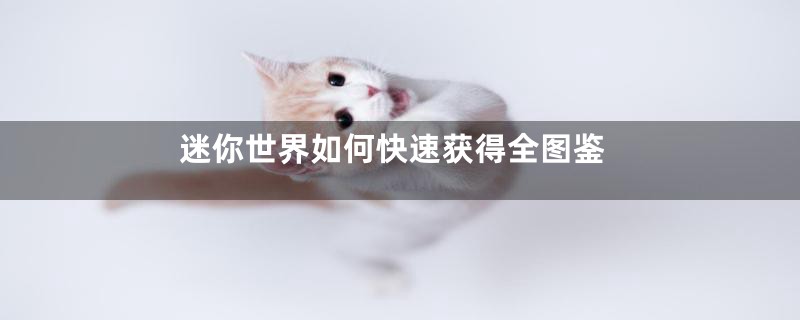 迷你世界如何快速获得全图鉴