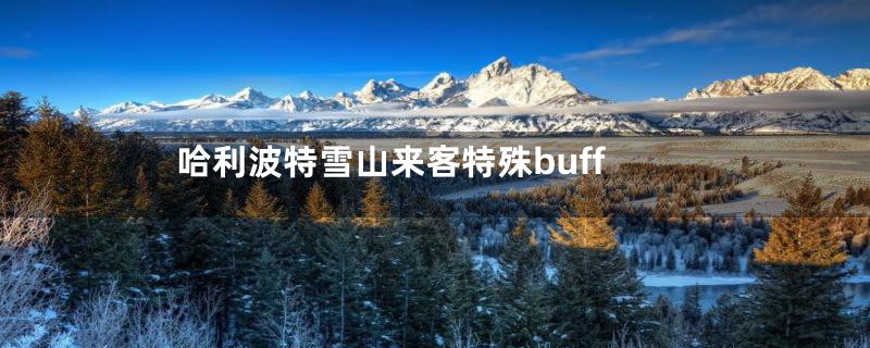 哈利波特雪山来客特殊buff