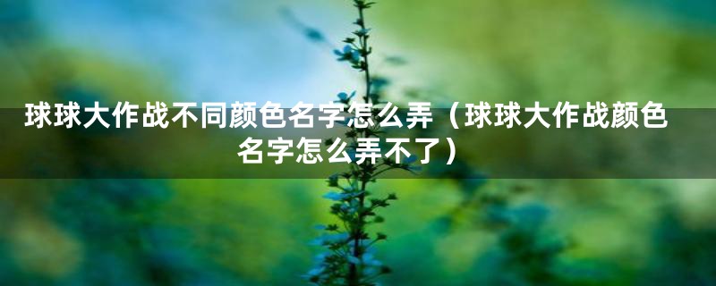 球球大作战不同颜色名字怎么弄（球球大作战颜色名字怎么弄不了）