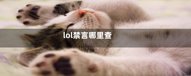 lol禁言哪里查