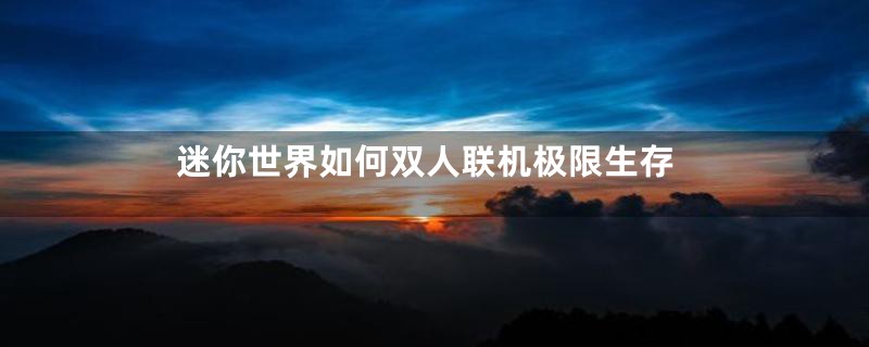 迷你世界如何双人联机极限生存