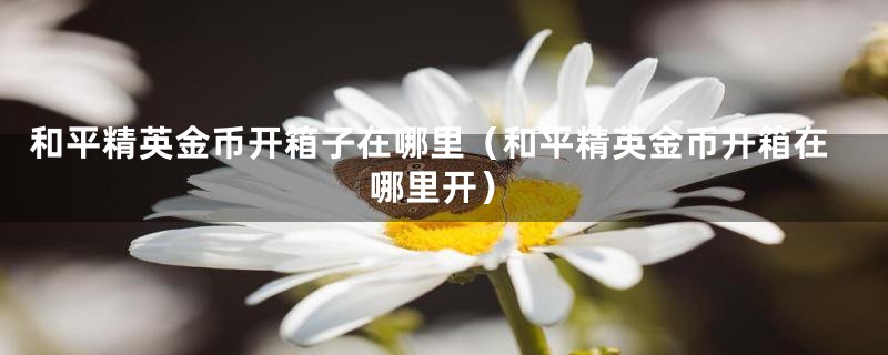 和平精英金币开箱子在哪里（和平精英金币开箱在哪里开）