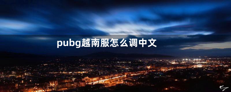 pubg越南服怎么调中文