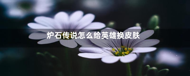 炉石传说怎么给英雄换皮肤