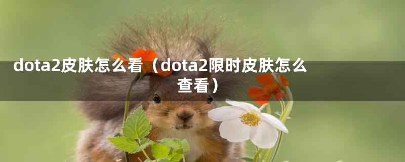 dota2皮肤怎么看（dota2限时皮肤怎么查看）