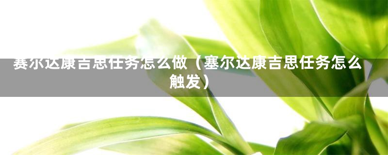 赛尔达康吉思任务怎么做（塞尔达康吉思任务怎么触发）