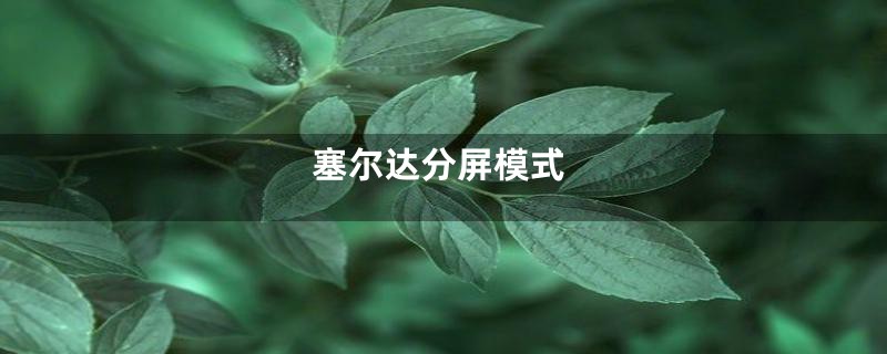 塞尔达分屏模式