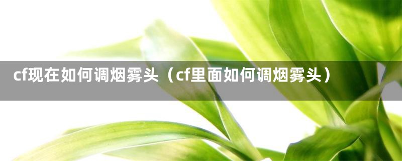 cf现在如何调烟雾头（cf里面如何调烟雾头）