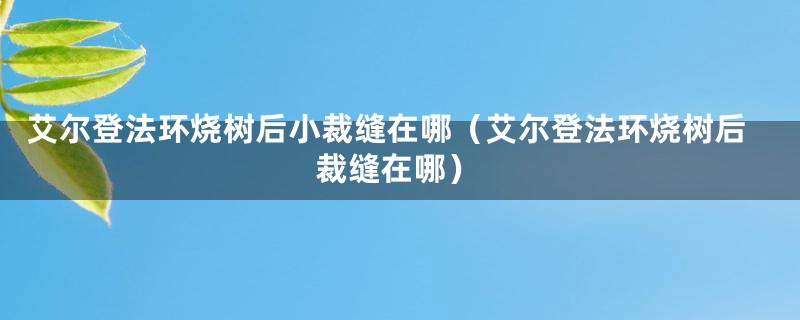 艾尔登法环烧树后小裁缝在哪（艾尔登法环烧树后裁缝在哪）