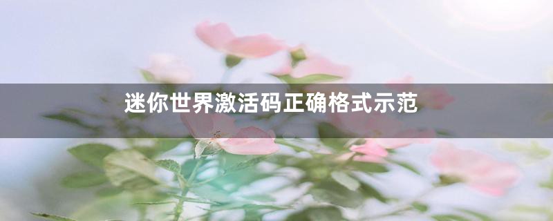 迷你世界激活码正确格式示范