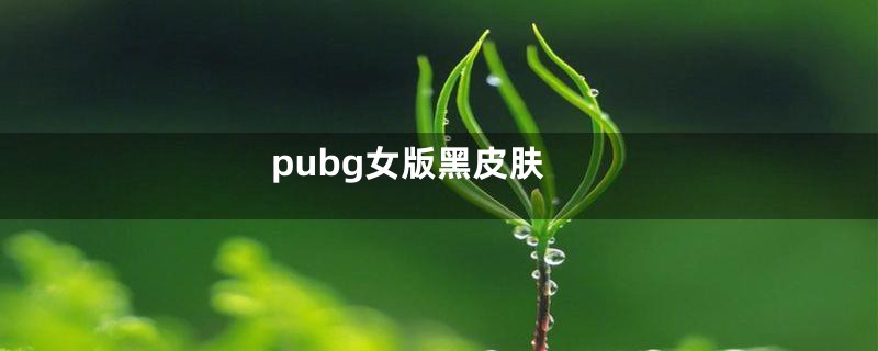 pubg女版黑皮肤