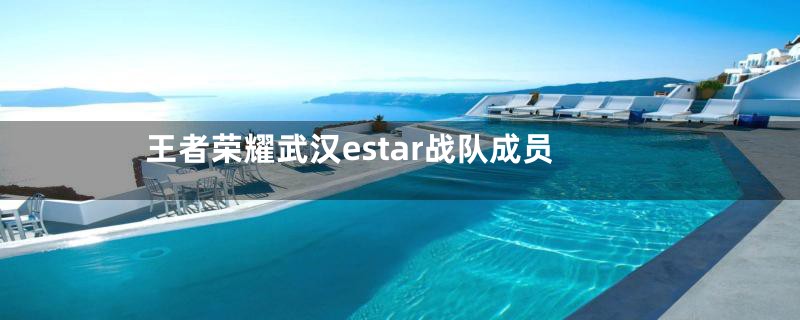 王者荣耀武汉estar战队成员