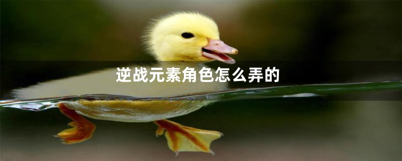 逆战元素角色怎么弄的