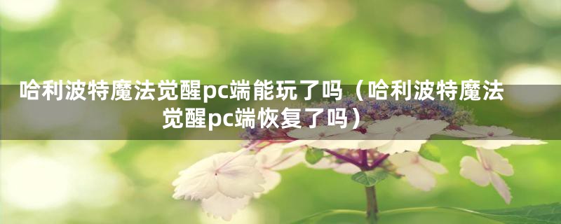 哈利波特魔法觉醒pc端能玩了吗（哈利波特魔法觉醒pc端恢复了吗）