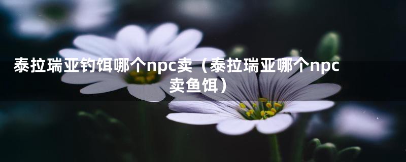 泰拉瑞亚钓饵哪个npc卖（泰拉瑞亚哪个npc卖鱼饵）