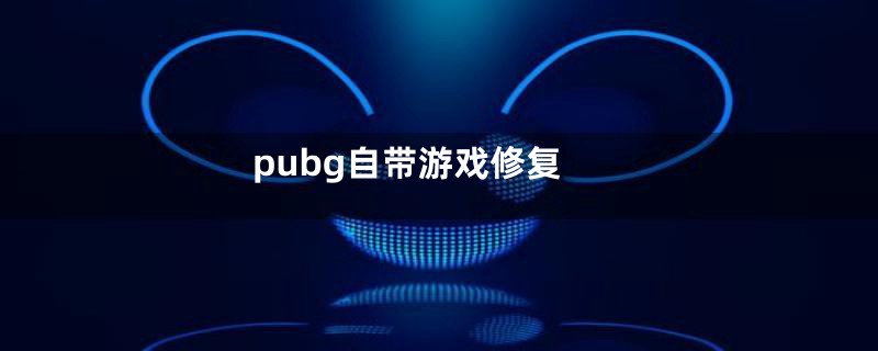 pubg自带游戏修复