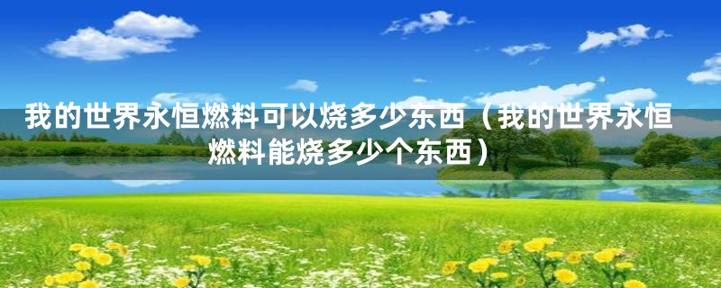 我的世界永恒燃料可以烧多少东西（我的世界永恒燃料能烧多少个东西）