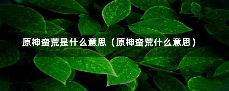 原神蛮荒是什么意思（原神蛮荒什么意思）