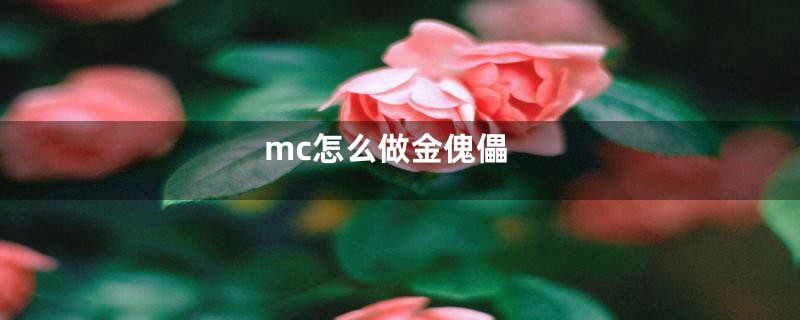 mc怎么做金傀儡