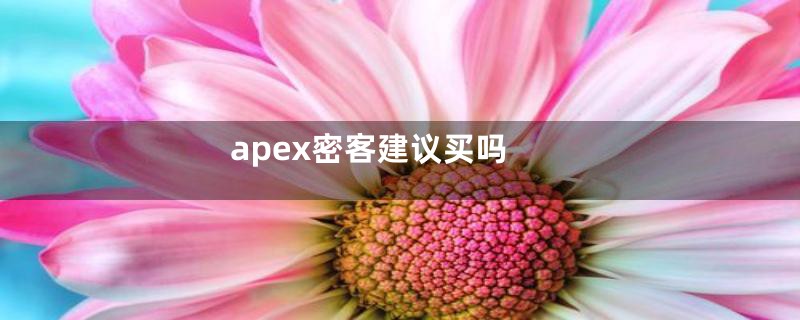 apex密客建议买吗