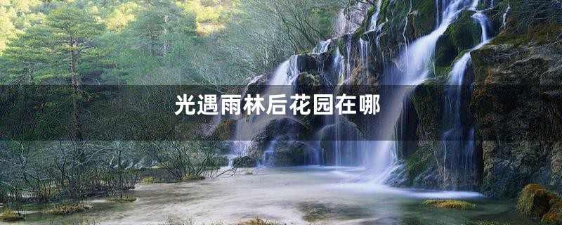 光遇雨林后花园在哪