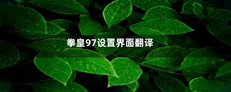 拳皇97设置界面翻译