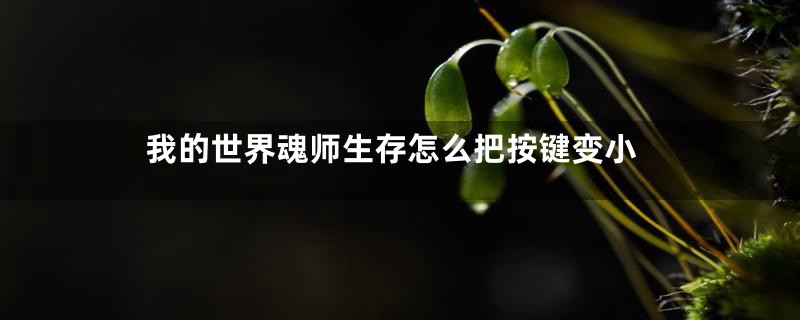 我的世界魂师生存怎么把按键变小